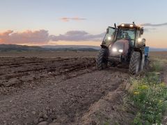 Adilcevaz’da fasulye ekimine başlandı