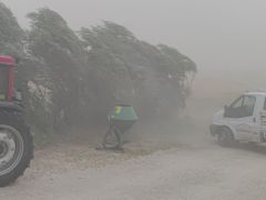 Adilcevaz’da toz bulutu ve fırtına etkili oldu